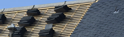 Les travaux de rénovation de toiture dans Marne 51